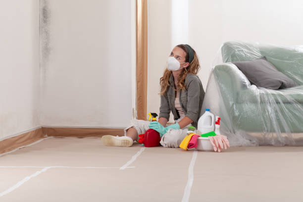 Trusted Crawl Space Mold Removal service in Haltom City, TX - Cheap Mold Removal